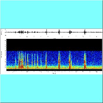 Opsodoras stuebelii_spectrogram.png